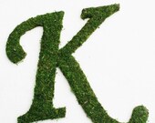 Moss Covered SCRIPT Wedding Door Initial Letter Wreath 24 inch