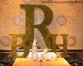 Moss Covered 3 letter Initial Monogram