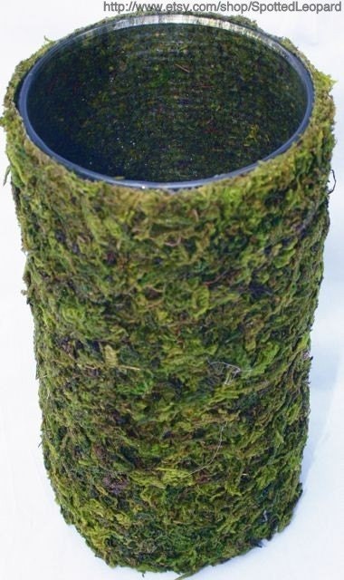 Items similar to Moss covered candle holder flower vase 3x9 on Etsy