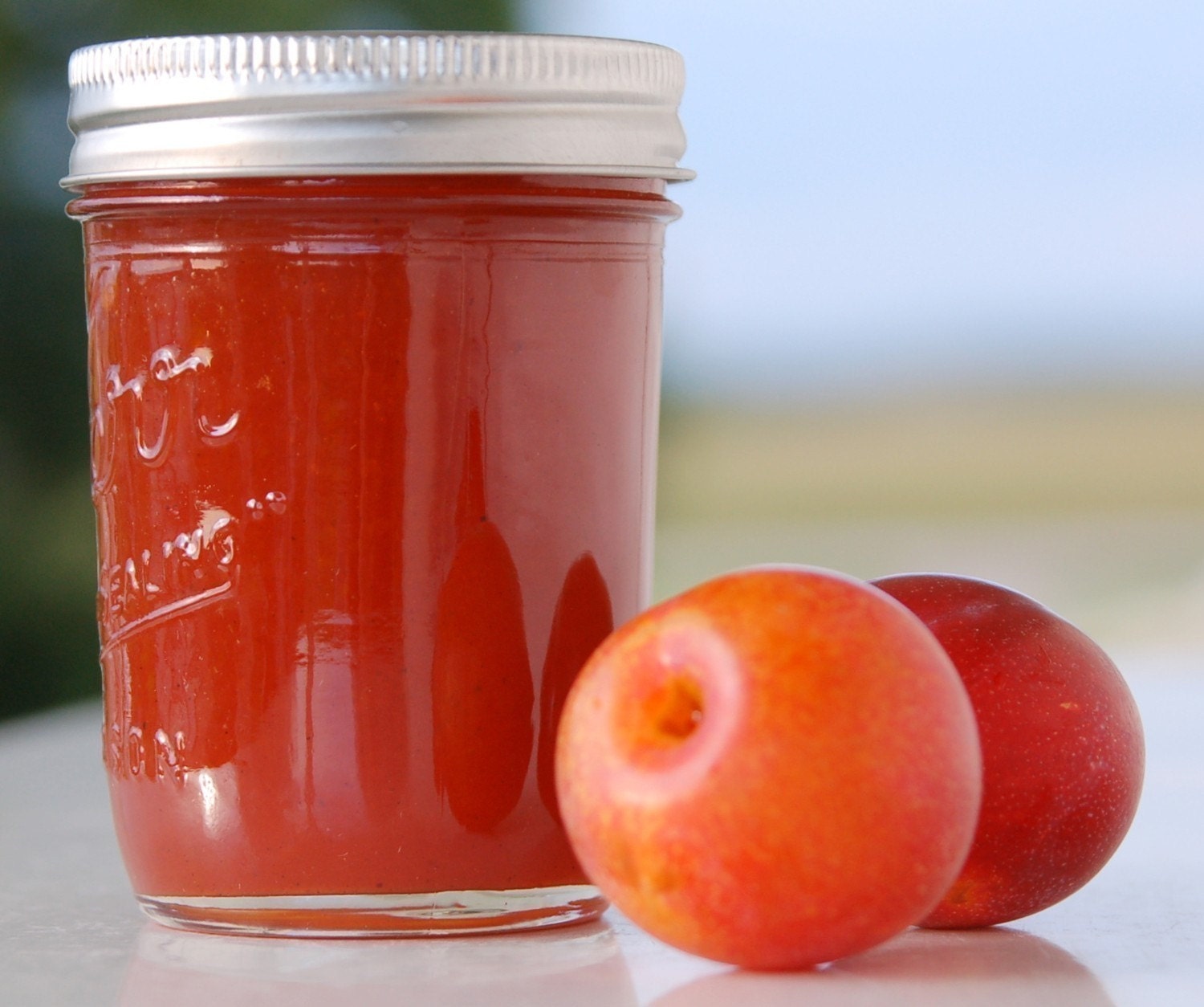 Plum Cardamom Jam