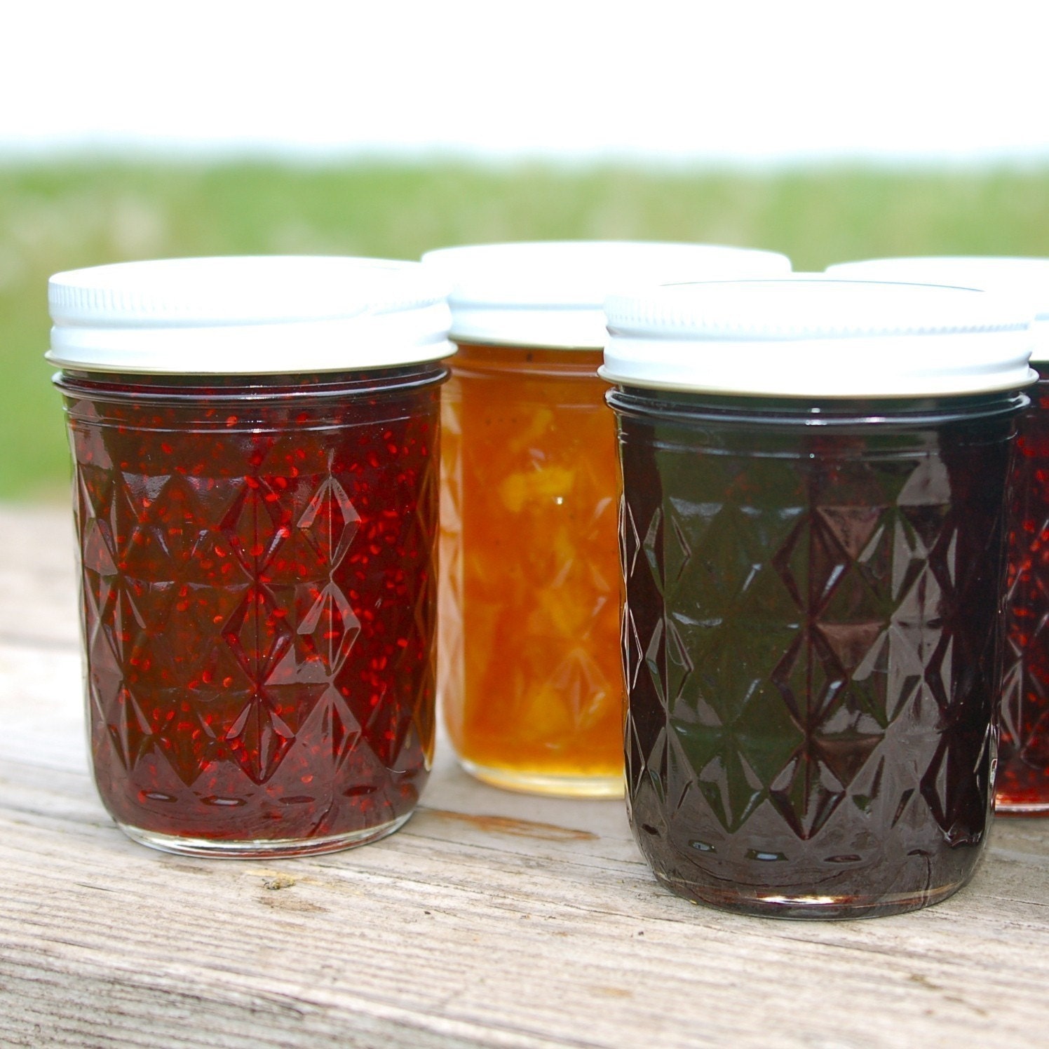 Jam Sampler Pack - 5 Jars