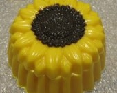 Solid chocolate sunflower fillable box