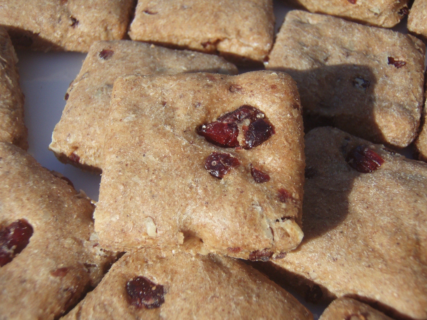 Dog Treats - Cranberry Nut Barks - - All Natural Dog Treats Organic Vegetarian - Shorty's Gourmet Treats