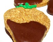 Dog Treats - Chocolate Dipped Strawberries - All Natural Dog Treats Organic Carob Dipped Vegetarian - Shorty's Gourmet Treats