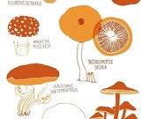 Mushrooms
