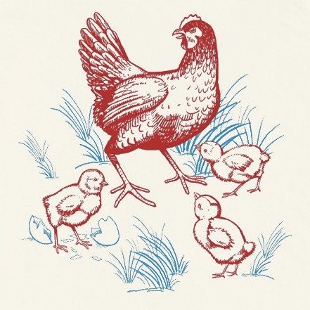 Organic Farm Chicken Infant Bodysuit, organic cream short sleeve, baby and kids sizes, Hen & Chicks design