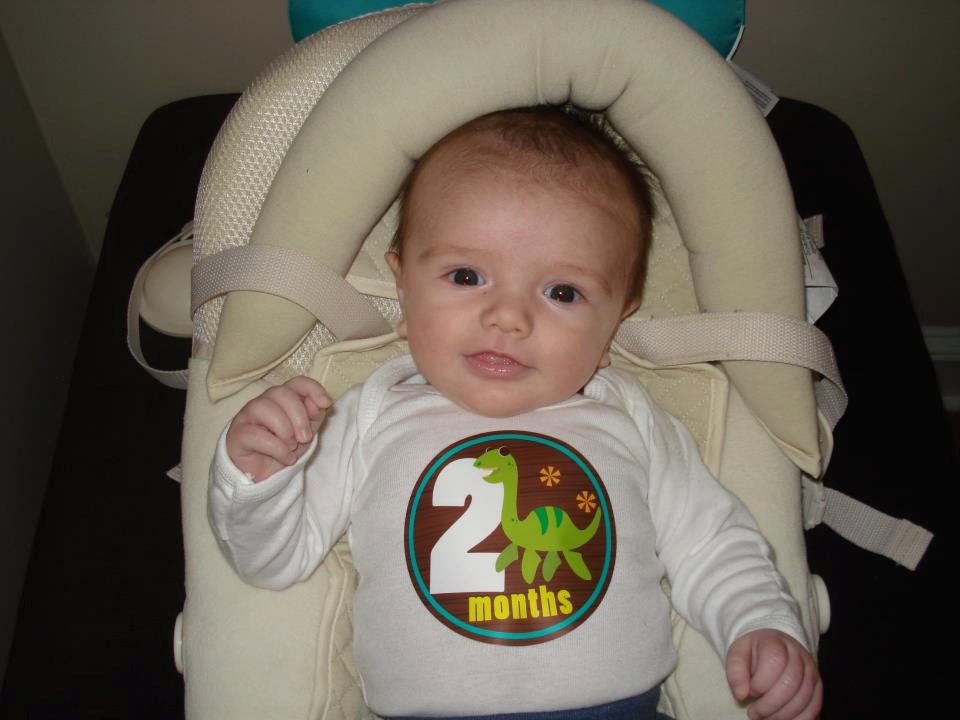 Dino-riffic- Monthly Onesie Stickers