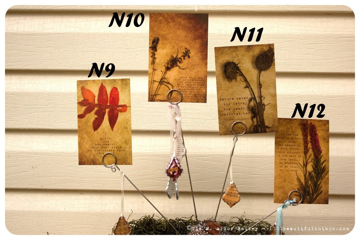 Sale POSTCARDS Nature Quotesl Postcard Fine Art Print Pick 1 N9-N12   ZNE fpoe poe team