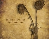 Sale  Betrayal Nature quote Fine Art Print 12x12 ZNE fPOE