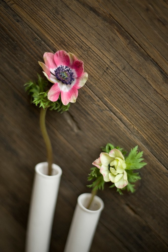Wall Mount Test Tube Vase