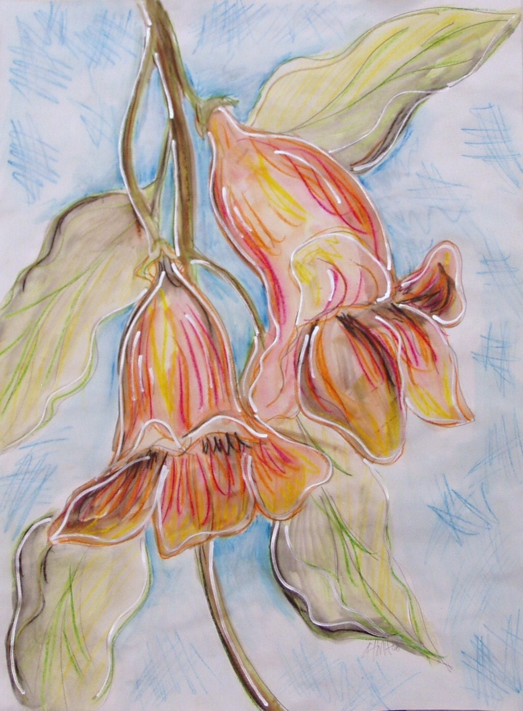 trumpet vine flower painting . . . 