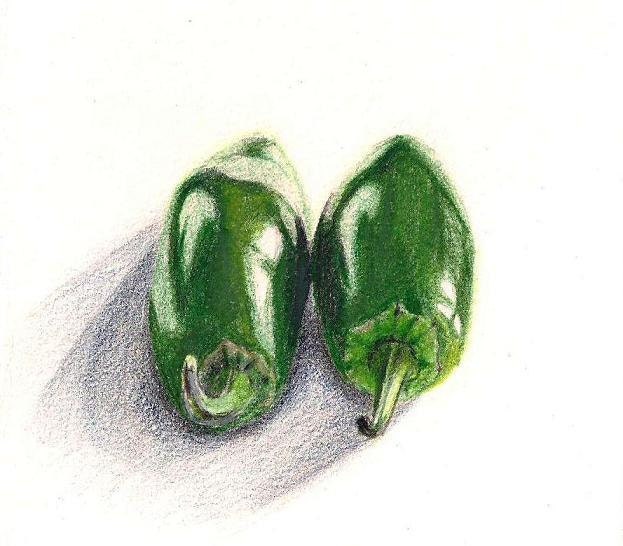 Peppers Drawing Original Jalapeno Colored Pencil