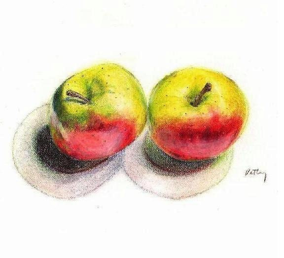 Apples Drawing 5' X 7' Miniature Lady Tart Apples Original Colored Pencil