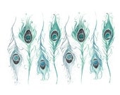 Ocellus,  print A4, 210x297 mm