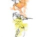 Three little birds,  print 210x297 mm