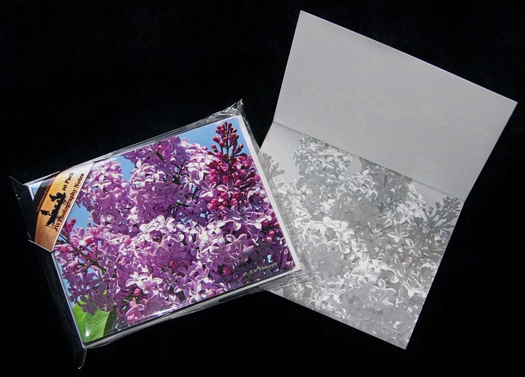 Note Cards, Blooming Lilacs Floral- 10 Pack w/ Envelopes