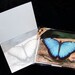 Note Cards, Blue Morpho Butterfly- 10 Pack w/ Envelopes