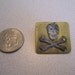 Steel and Brass Skull and Crossbones Pin