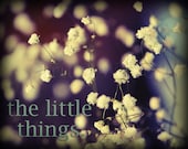 The Little Things. 8x10 Fine Art Print