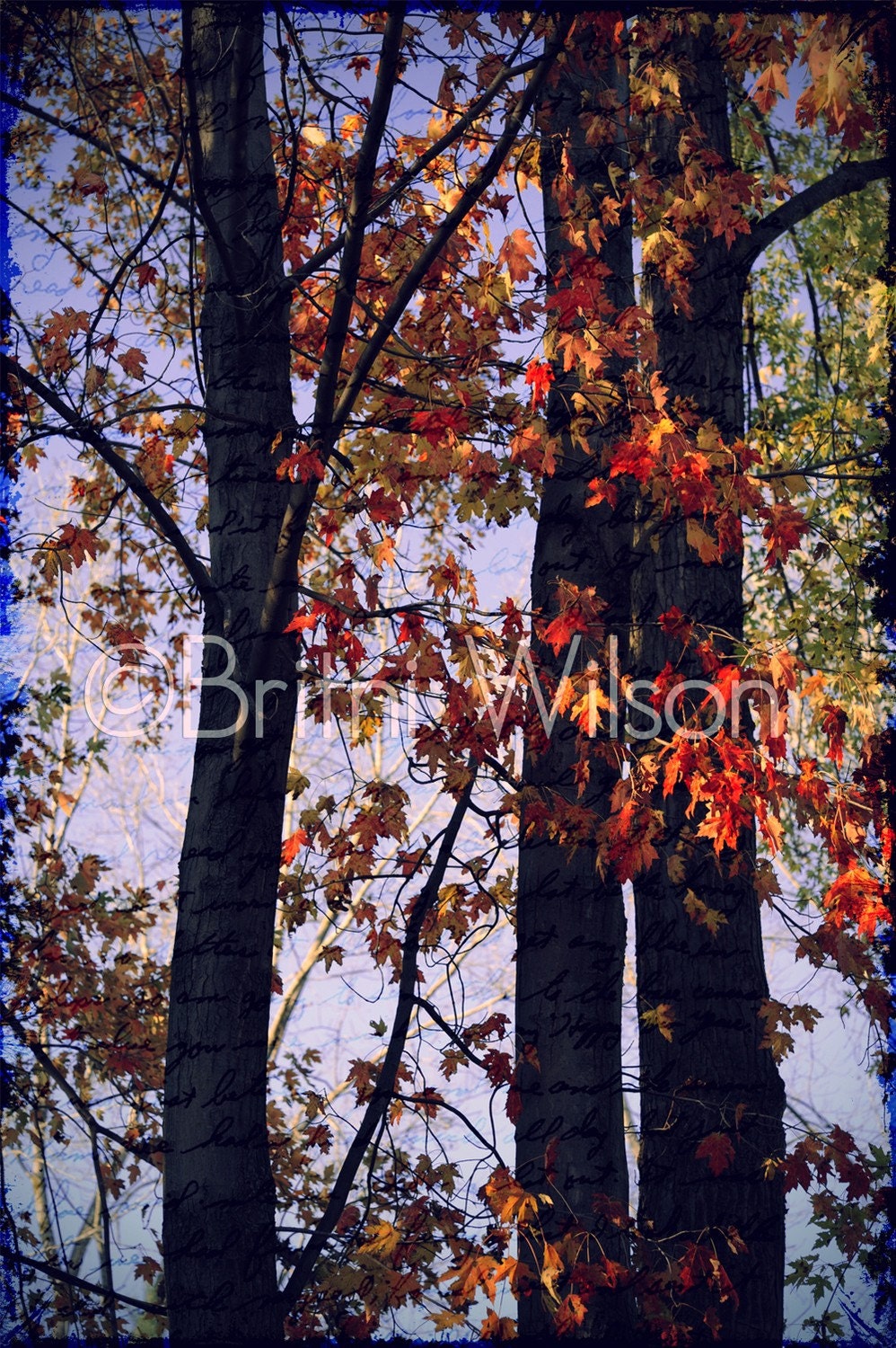 Autumn Mystery. 8x12 Fine Art Print