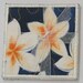 Frangipani coasters (set of 4 - white trim)