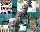 This is your brain on Rhee