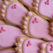 Reserved for Sheena---BABY FEET Cookie Favors - Baby Feet Cookies - Baby Shower Cookie Favors - Baby Feet Decorated Cookie Favors -1 Dozen