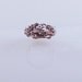 Spring Wedding Band