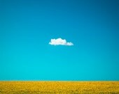 Nature Photography "The Happy One" Lone Cloud, One Cloud, Blue Sky, Yellow Sunflower Field, Summer Home Wall Decor 6x6 Fine Art Photo Print - ndtphoto Nature Photography "The Happy One" Lone Cloud, One Cloud, Blue Sky, Yellow Sunflower Field, Summer Home Wall Decor 6x6 Fine Art Photo Print - ndtphoto