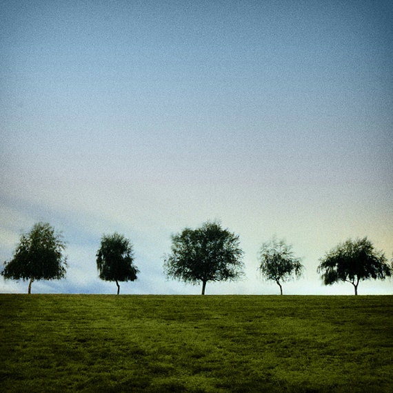 Tree Nature Photography "Siblings" Blue Green Tree Family Photograph, Simple Modern Art, Minimal Landscape Wall Decor, 8x8 Tree Photo Print