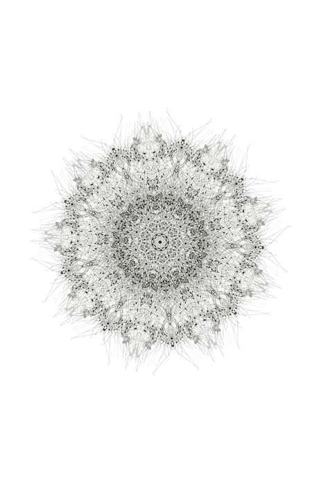 Free shipping USA - Fine art giclee print Archival Print fine art print black and white mandala nature print abstract form