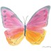 Butterfly Watercolor Painting