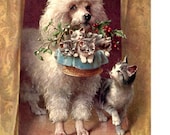 Mama Poodle Dog Carries Basket of Kittens Note Card s Cards Cat Gray White Cat Kittens