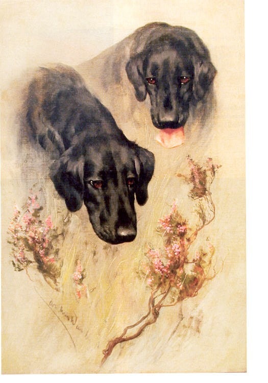 Labrador Retriever Dog Lab Labs In Dogwood Lovely Card s