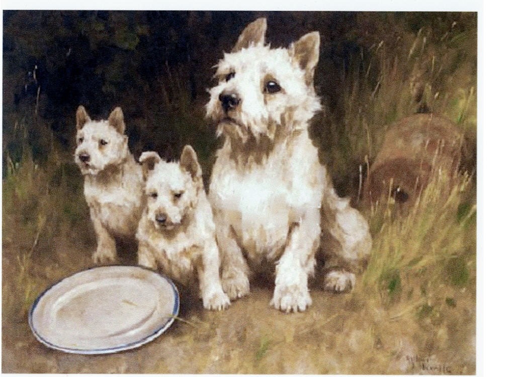 Westie Mama Dog and Puppies Empty Dish More Please Card s Hungry Westhighland Terrier Feed Us Say Please