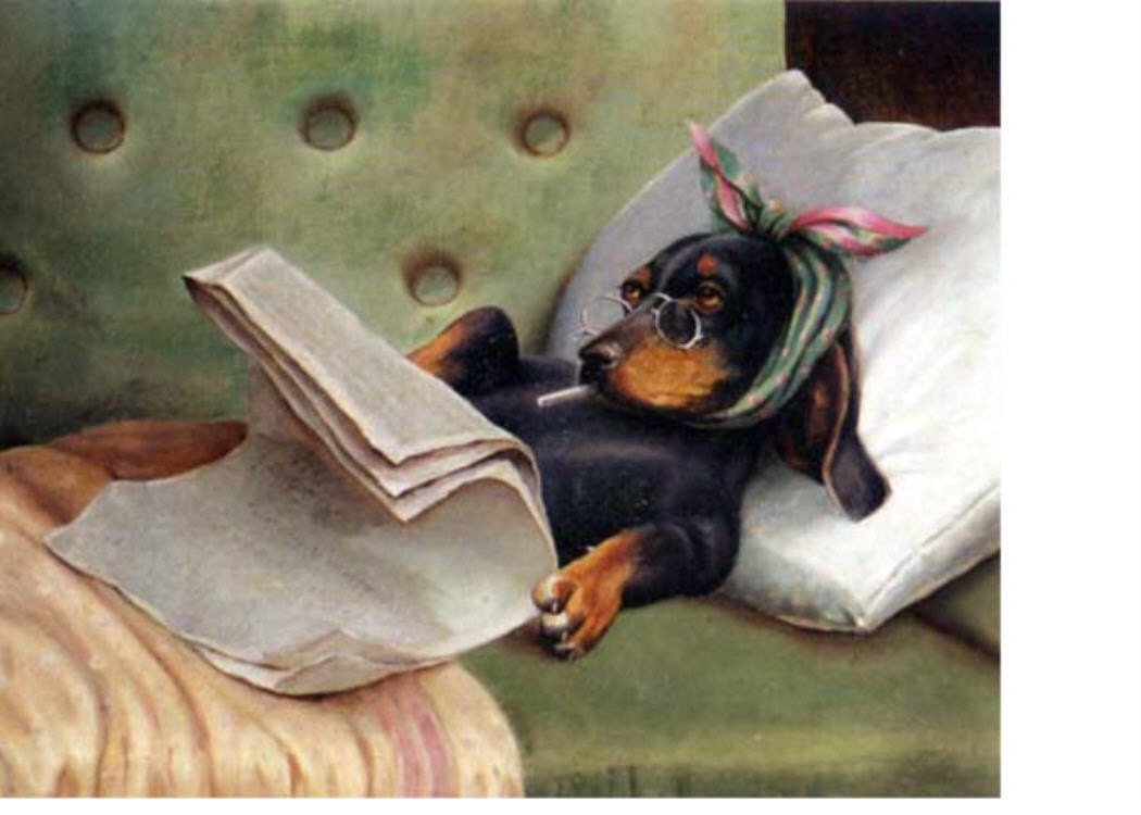 Dachshund Dog SMOKING In Bed Card s Doxie Relaxing Sunday Morning Newspaper