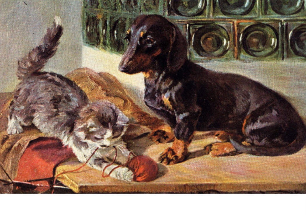 Dachshund Watches Kitty Play With Yarn Magnet Cat Kitten Doxie Dox Dachie Tabby Cat