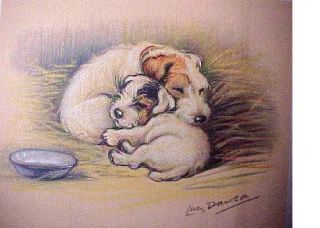 Wire Fox Terrier Mama Dog and Her Puppy Curled Up Safe My Only Child Notecards Card s