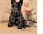 Little Scottie Love Scotty Dog Fridge Magnet Scottish Terrier On Rose Duvet