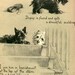 Westie and Scottie Dog Dopey and Gallant We Are Banished Childrens Book Terrier Westhighland Scottish Terriers