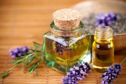 Aromatherapy for Parent, Child and Home eBook