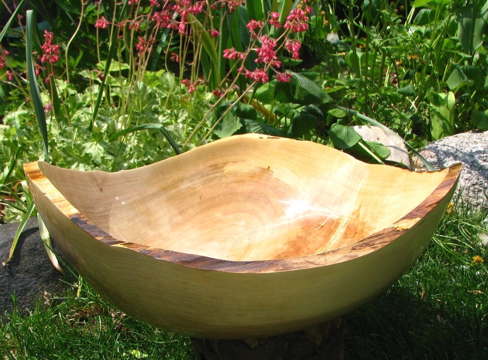 Large natural edge silver maple bowl