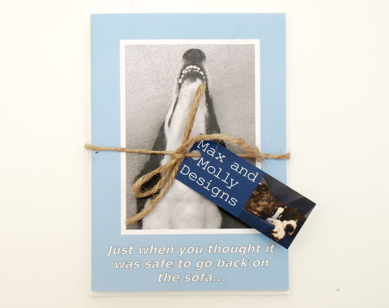Greyhound shark card x 3 - Just when you thought it was safe to go back on the sofa...