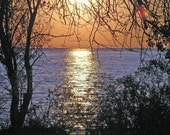 Ohio Color Photo of Lake Erie Sunrise 8x10 Kelleys Island Landscape Nature Photography Beach Print Wall Decor