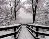 Landscape Photography Snowfall Symmetry 16x20 Fine Art Photo