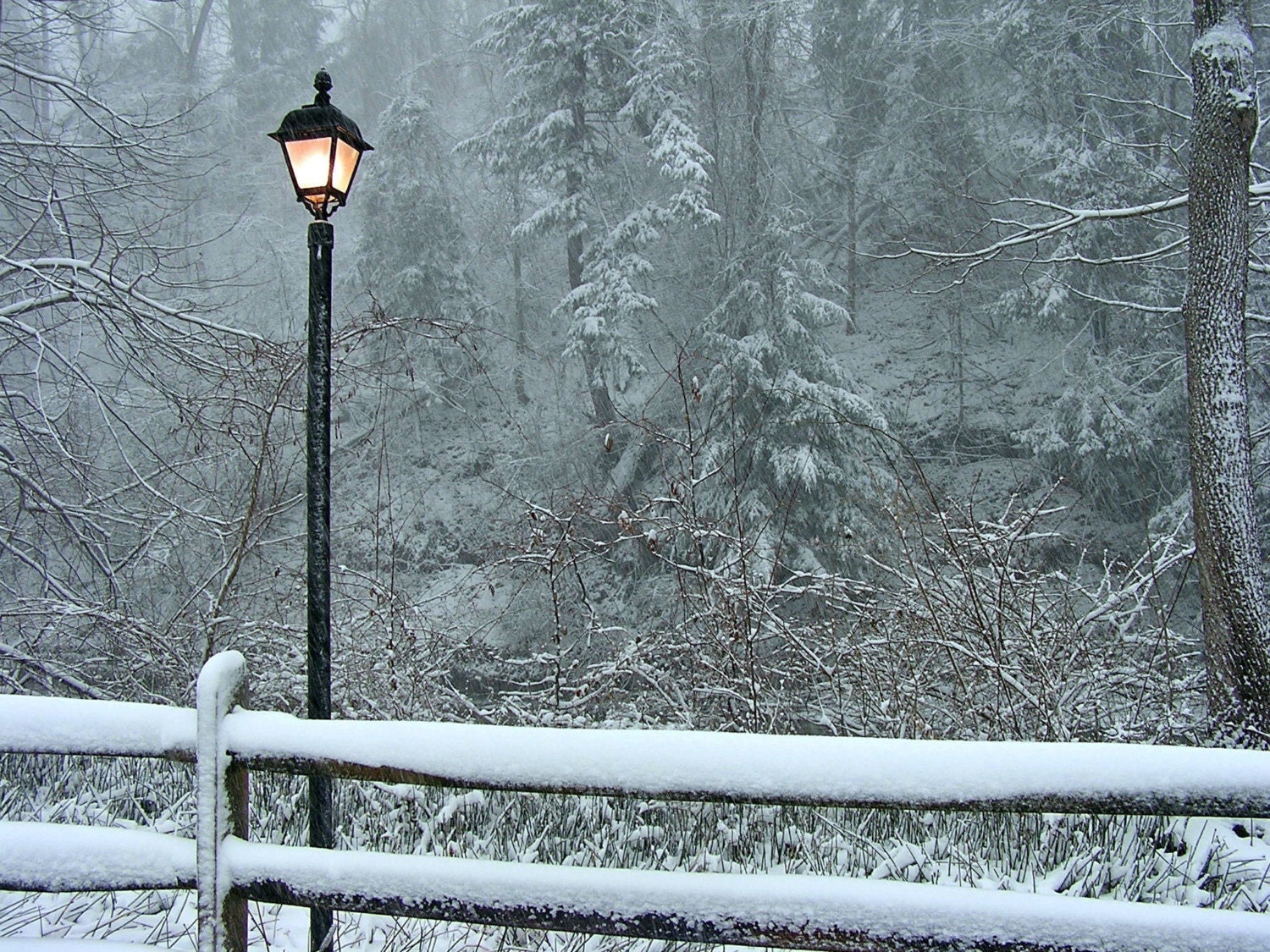 Winter Scene Photograph 5x7 Welcome to Narnia