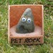 RESERVED FOR KATIE - Real Pet rock wearing glasses funny smile and his hand stitched rice bag chair home.