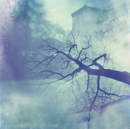 Haunting Ice Blue Photography Print, The Memory of Trees, Winter Nature Photo