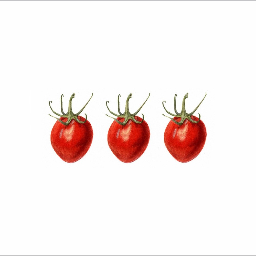 Canvas Print 'Three Tomatoes'.