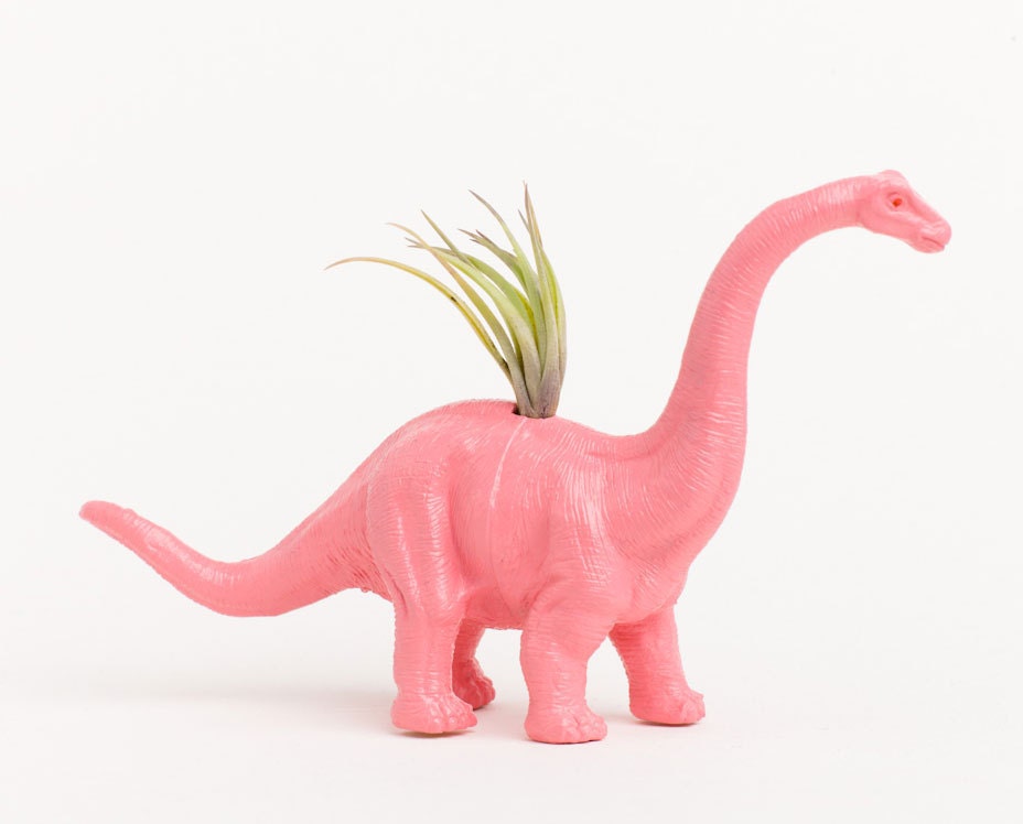 Small Dinosaur Planter with Air Plant Room Decor, College Dorm Ornament